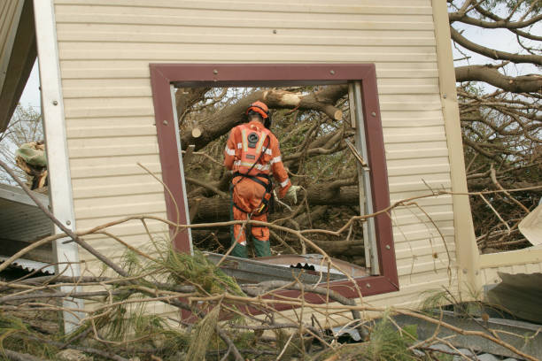 Best Emergency Tree Removal  in Nevada City, CA